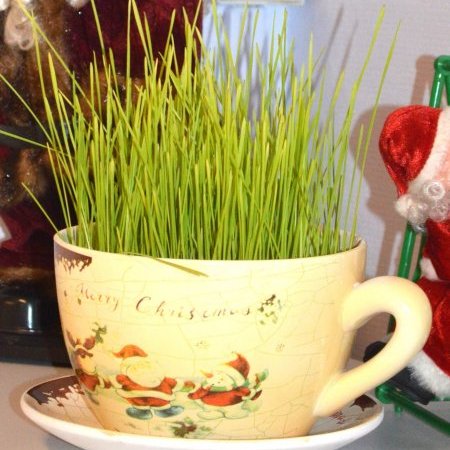 La BEAUVALLE en Fêtes !